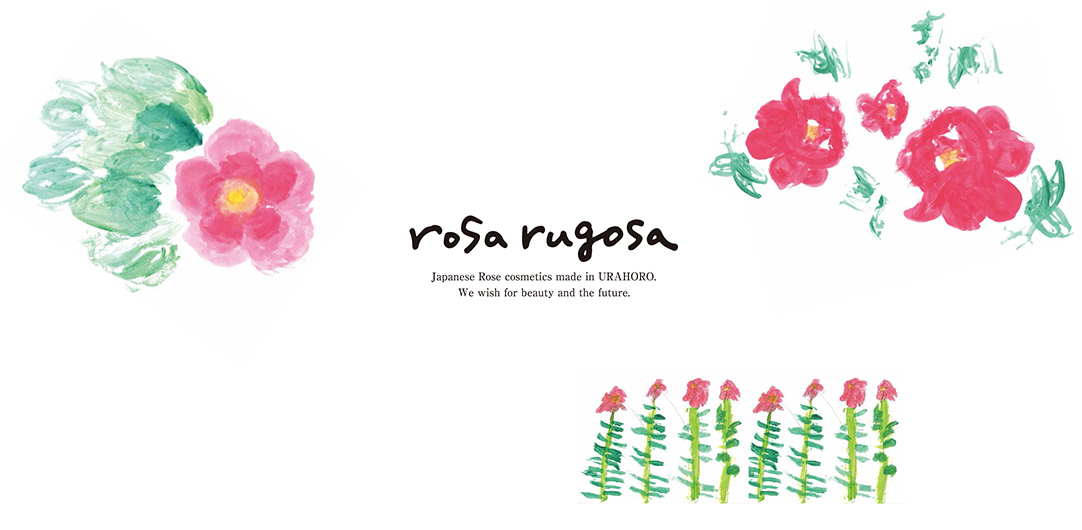 rosa rugosa