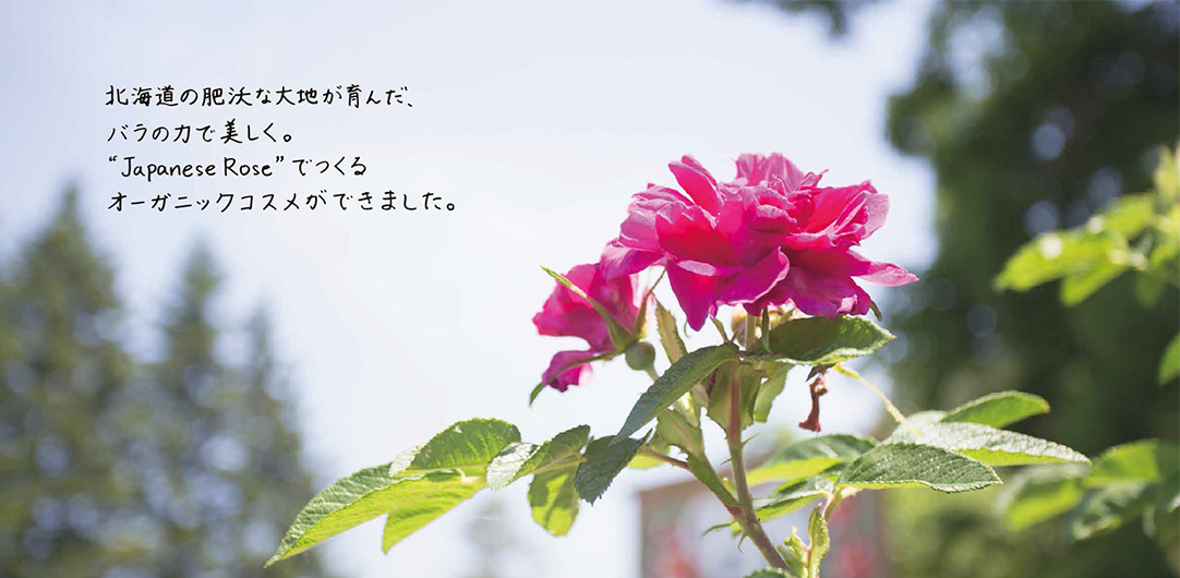 北海道の肥沃な大地が育んだ、バラの力で美しく。”Japanese Rose”でつくるオーガニックコスメができました。